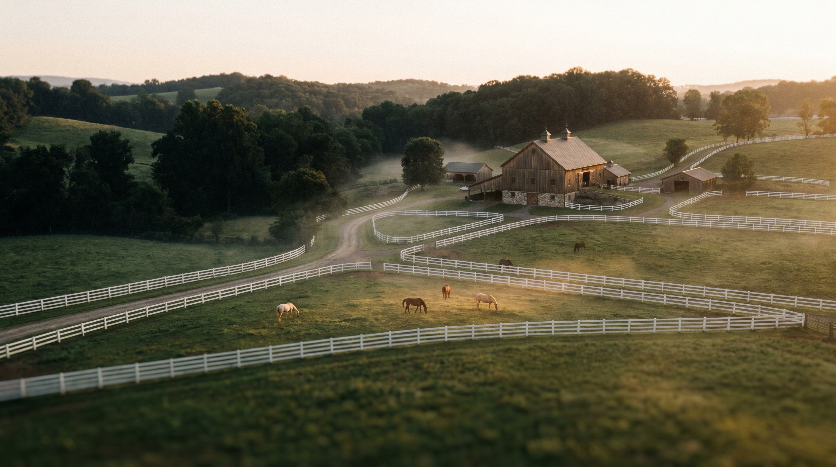 Aerial view of a working horse farm with white fences and grazing horses, illustrating horse riding lessons in Phillipsburg, NJ