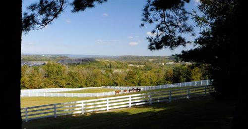 White fences, open pasture, and quiet valley views at Thunder Ridge Farms in Warren County, NJ